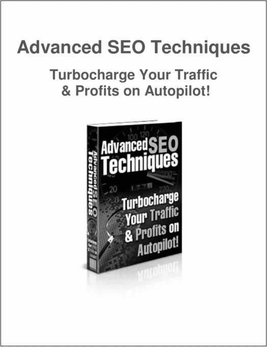 Product picture Advanced SEO Techniques: Turbocharge Your Traffic & Profits 